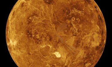 The northern hemisphere of Venus is displayed in this view of the planet created with data from NASA's Magellan spacecraft.