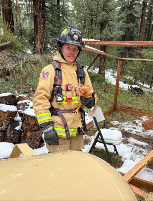 <i>Evergreen Fire Rescue/KCNC via CNN Newsource</i><br/>All five chickens were rescued after a propane tank crashed into a chicken coop in Evergreen.