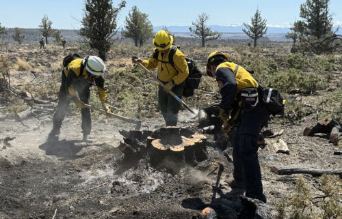 Alder Creek Fire crews mop up hot spots