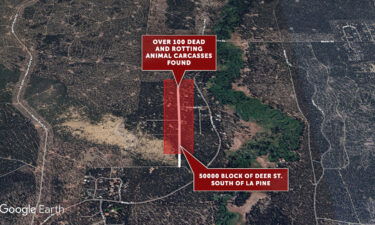 Animal carcass raid map