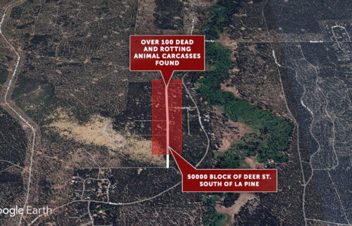 Animal carcass raid map