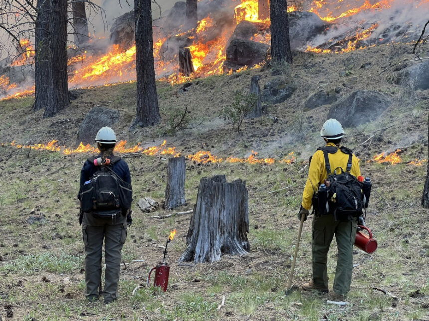 Big Eddy prescribed burn SW of Bend