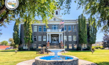 Crook County Courthouse trees removal