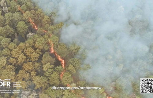 Oregon DFR wildfire preparation PSA