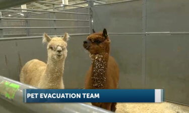 Pet Evacuation Team