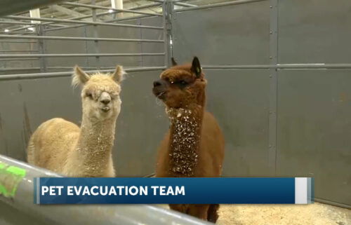 Pet Evacuation Team