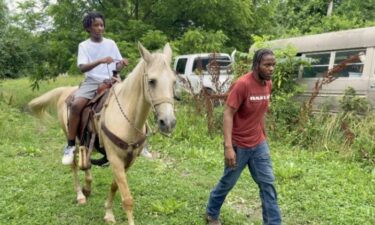Agriculture and the rural lifestyle can often be difficult to find in the city. To bridge that gap