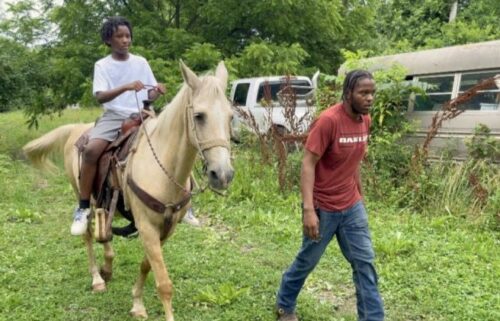 Agriculture and the rural lifestyle can often be difficult to find in the city. To bridge that gap