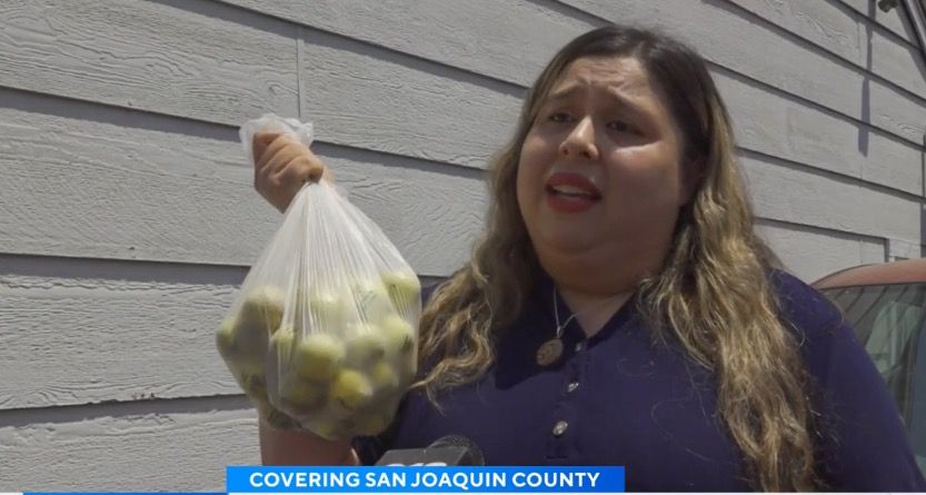California neighborhood asks city for help following damages by flying golf balls