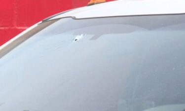A Detroit woman accused of shooting at a tow truck driver who was repossessing her vehicle is facing a pair of felony charges.