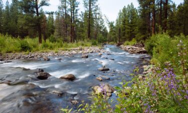 Whychus Creek