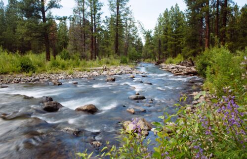 Whychus Creek