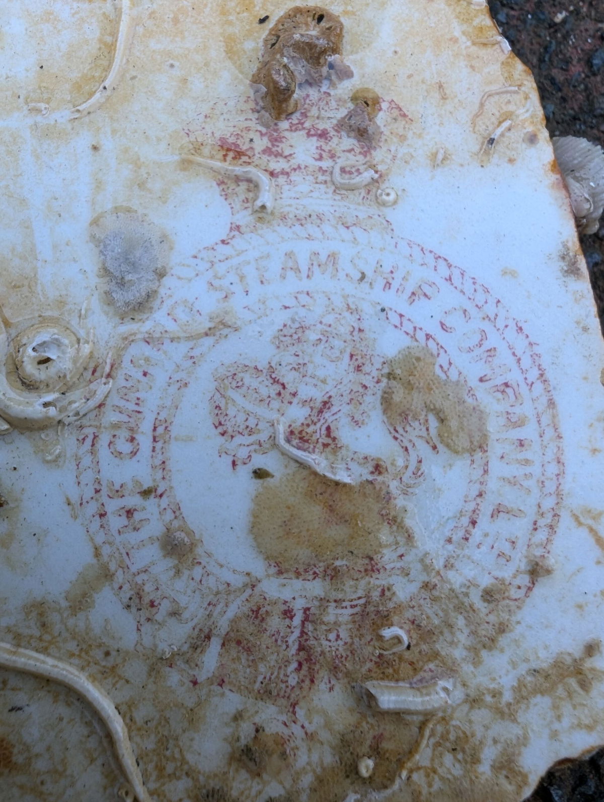 <i>Deep Wreck Diver/YouTube via CNN Newsource</i><br/>The plate found onboard had the stamp of the Cunard Steamship Company.