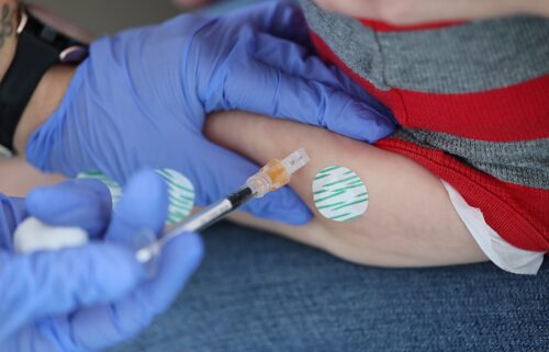 Several groups are working to create panels of experts who would review the science behind vaccines and make recommendations for their use.