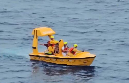 The Disney Dream rescue team rescued the two passengers who fell overboard.