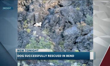 Missing dog rescued on rock island in middle of Deschutes River