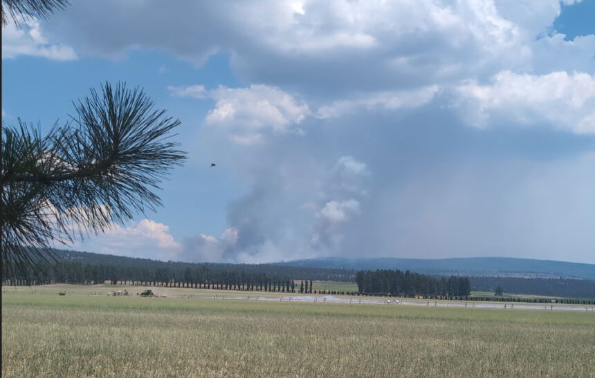 Elk-Fire-viewer-photo-Watch-Duty-860x547