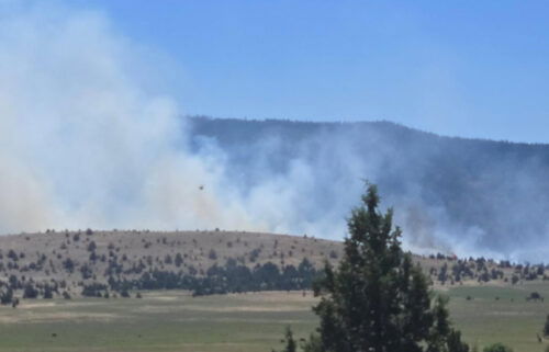 Grizzly Flat Fire Jefferson County SO