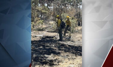 Highland Fire mop-up