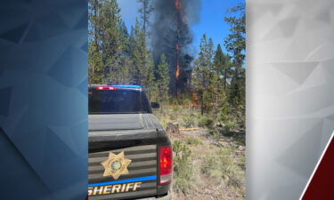 Jolene Fire DCSO Lt. Josh Spano