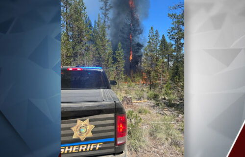 Jolene Fire DCSO Lt. Josh Spano