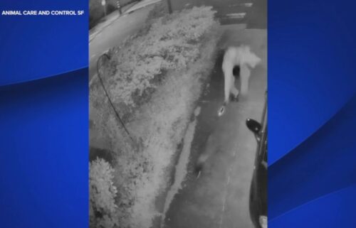 San Francisco Animal Control is looking for someone caught on camera abusing a raccoon.