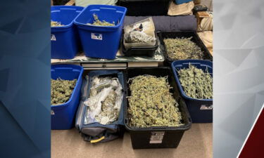 La Pine marijuana raid CODE team