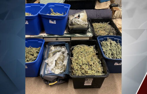 La Pine marijuana raid CODE team