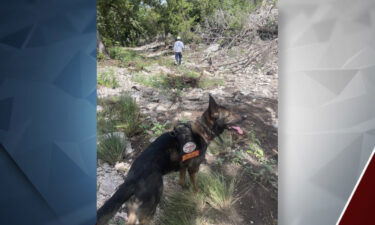 Oregon Search and Rescue Cainine Team Texas