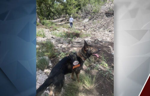 Oregon Search and Rescue Cainine Team Texas