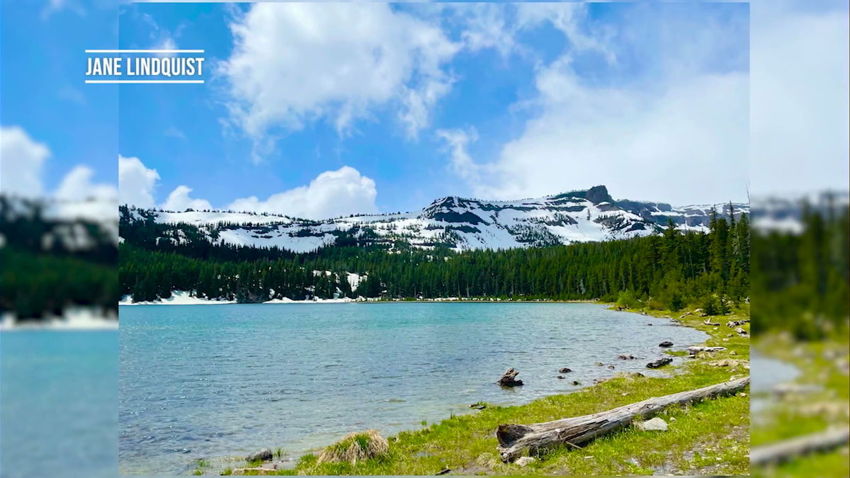Out & About: Between the snowcapped mountains and the refreshing lakes lies the beautiful Oregon forest