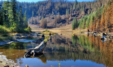 Rhody Lake Santiam National Forest