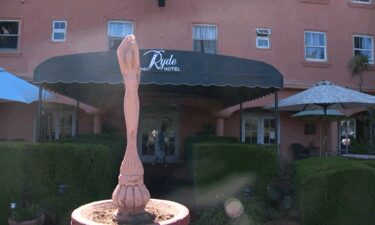 Nearly all of the peacocks at the historic Ryde Hotel in Walnut Grove have gone missing within the past week