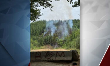 Target shooting fire Tillamook State Forest
