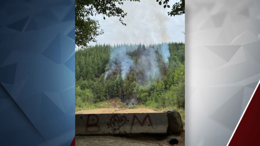 Target-shooting-fire-Tillamook-State-For
