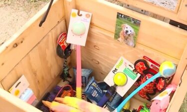Jessie's Dog Treasures is a box full of toys and treats sitting along the road in the Hills Beach Association neighborhood in Biddeford. Sean Reardon built the box in memory of his golden retriever