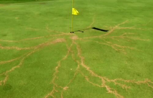 A lightning strike on a flag at Gator Trace Golf Course left a scar on the green.