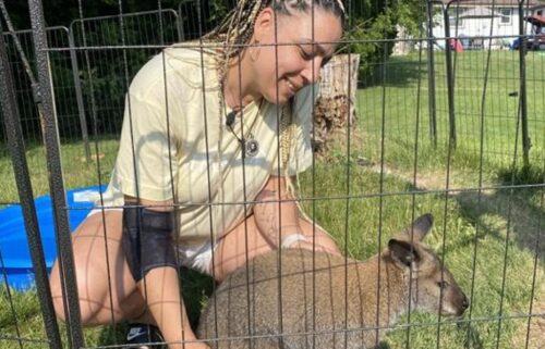 Linda Rowster says her wallaby August is "very much loved" and provides emotional support