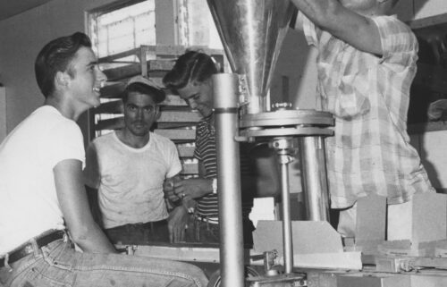 A photo from 1960 shows US workers preparing sterile flies for dispersal.
