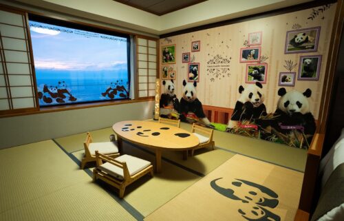 A panda-themed hotel room in Shirahama.