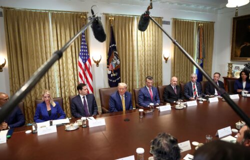US President Donald Trump attends a Cabinet meeting at the White House on July 8.