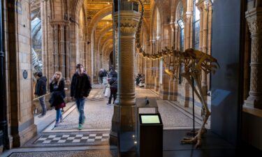 Visitors walk past the skeleton of a giant moa bird at the Natural History Museum in London on January 19