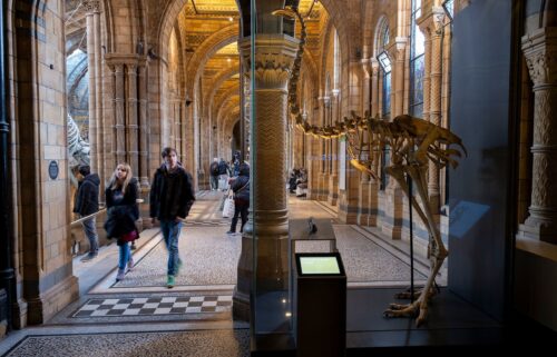 Visitors walk past the skeleton of a giant moa bird at the Natural History Museum in London on January 19