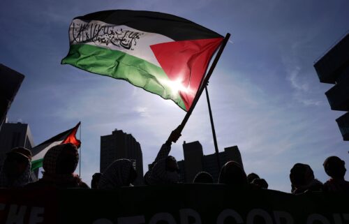 Protesters rally in support of detained Palestinian activist Mahmoud Khalil in March in New York.