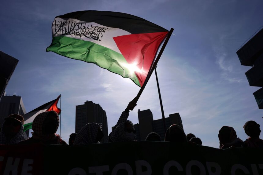 Pro-Israel website was used to find names of student protesters to investigate, senior ICE official says