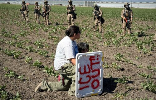 A demonstrator kneels Thursday before federal agents in a farm field during an immigration raid in Camarillo