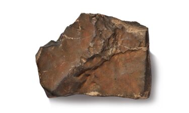 The NWA 16788 meteorite is pictured. It's the largest known piece of Mars on Earth