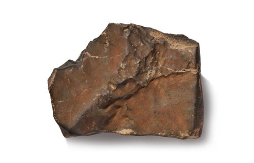 The NWA 16788 meteorite is pictured. It's the largest known piece of Mars on Earth