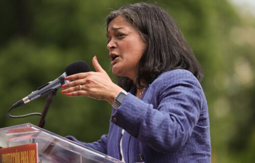 Rep. Pramila Jayapal (D-WA) speaks at a rally to free Kilmar Abrego Garcia at Lafayette Park near the White House in Washington