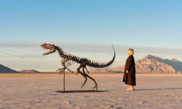 A human is pictured standing next to the fossil.